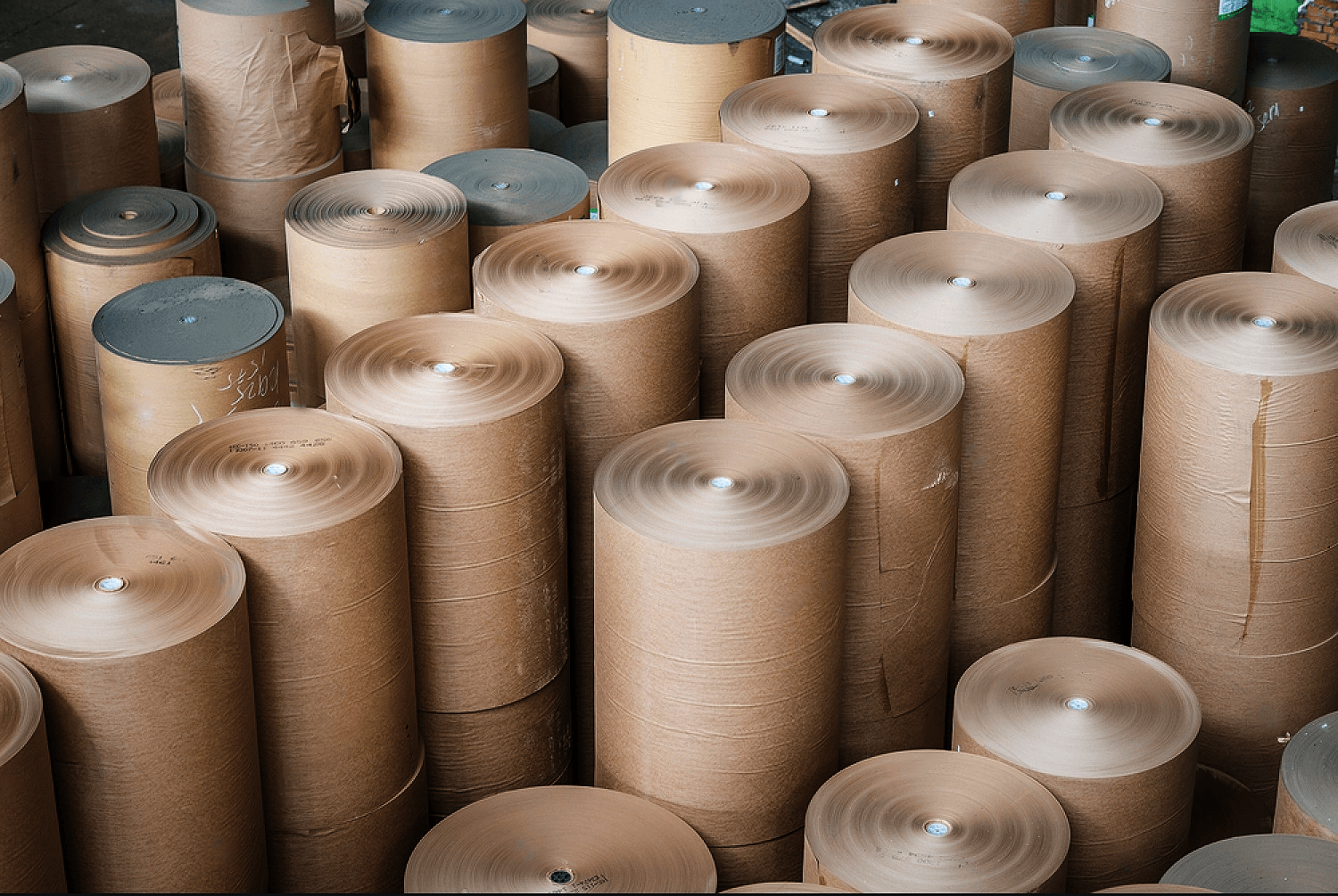 Paper rolls in warehouse